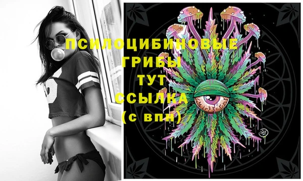 spice Елабуга