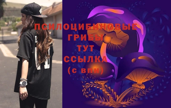 spice Елабуга
