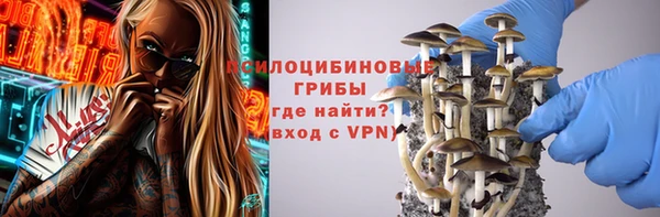 spice Елабуга