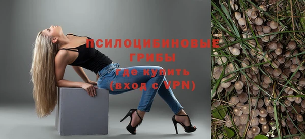 spice Елабуга