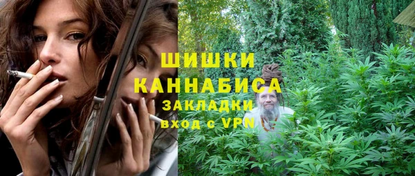 метадон Елизово