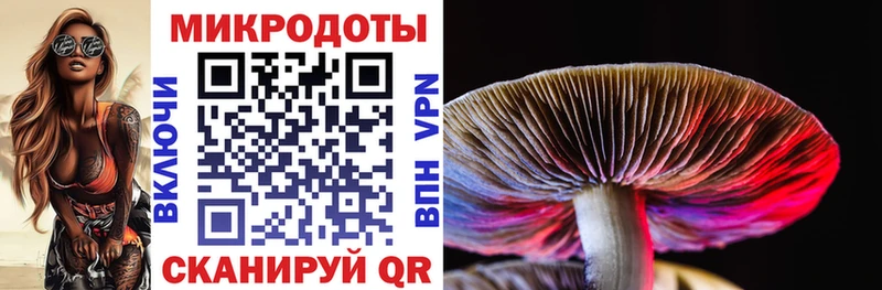 Галлюциногенные грибы Cubensis Тимашёвск