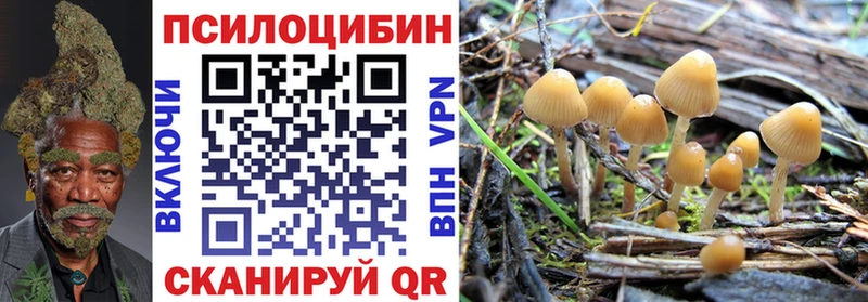 Купить закладки  Тимашёвск  Псилоцибиновые грибы GOLDEN TEACHER 